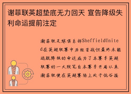 谢菲联英超垫底无力回天 宣告降级失利命运提前注定